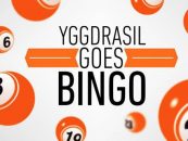 yggdrasil gaming takes first steps multiplayer bingo